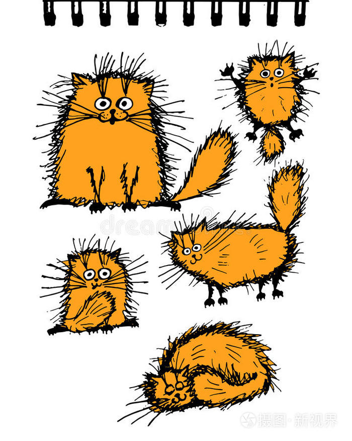 蓬松橙色猫收藏，草图为您的设计