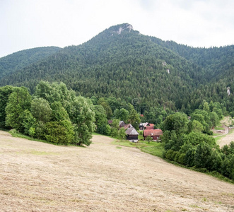 森林 马拉 马利 斯洛伐克 国家的 哈姆雷特 喀尔巴阡山