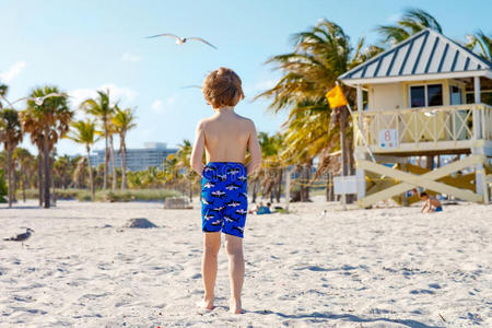 家庭 幸福 梦想 乐趣 佛罗里达州 海滩 自然 享受 可爱的