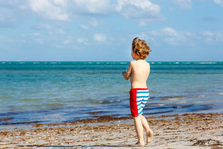 乐趣 家庭 迈阿密 海滩 享受 幸福 小孩 假日 海洋 佛罗里达州
