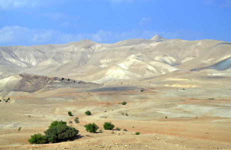 城市景观 沙漠 阿拉伯树胶 极端 小山 阿拉伯 以色列 冒险