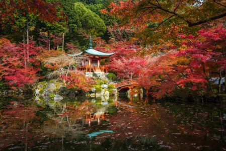 日本京都，摩米季，枫树中的大寺