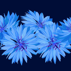 矢车菊。 蓝色的花。 纹理，背景无缝