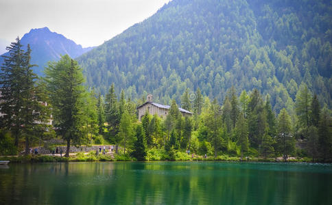 香榭丽舍 小山 旅游业 森林 瑞士 夏天 湖边 旅行 自然