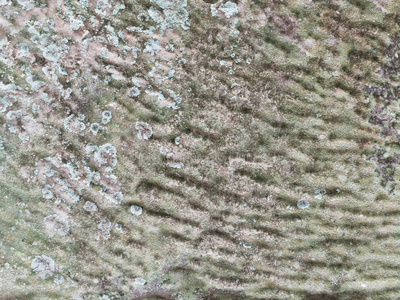 古老的绿色砂岩作为背景