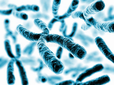 分子 微生物学 突变 插图 细胞 克隆 蛋白质 染色体 医学