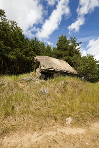 摧毁建筑物，森林