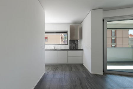 公寓 固定装置 房子 真实的 宽的 房间 新的 房地产 建筑学