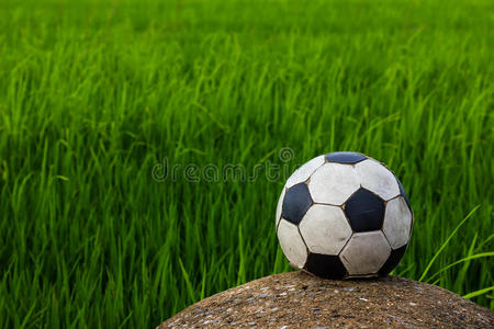 足球老叶和绿色模糊。