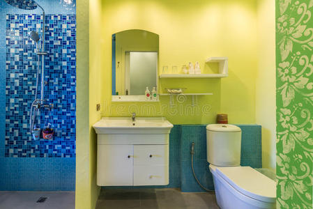 厕所 公寓 新的 洗澡 水龙头 建筑学 豪华 奢侈 浴室
