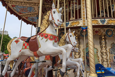 稳定基辅马戏团图片