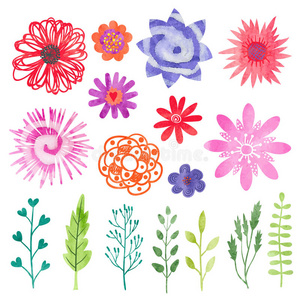 植物 总和 收集 花束 绘画 邀请 粉红色 花瓣 植物区系