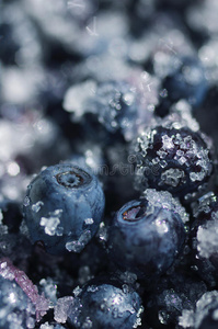 浆果蓝莓背景