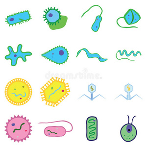 放大 叶绿体 眼虫 真核生物 纤毛 遗传学 分解器 生物