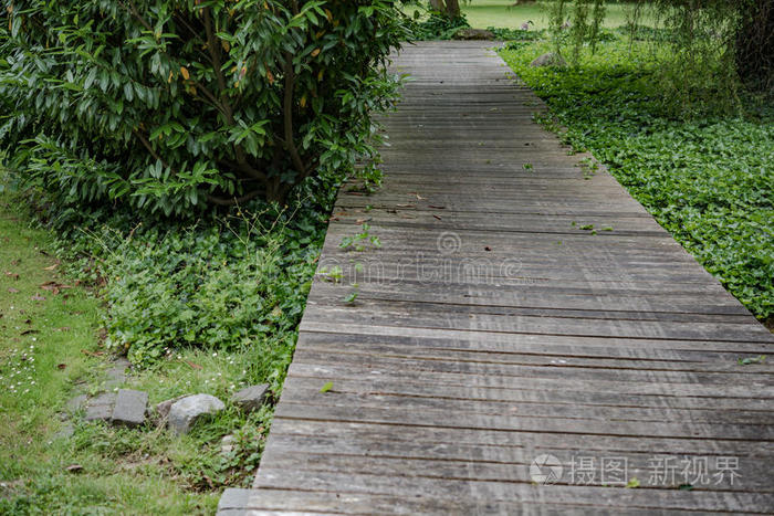 目标 秋天 人行天桥 冒险 树叶 风景 自然 池塘 森林