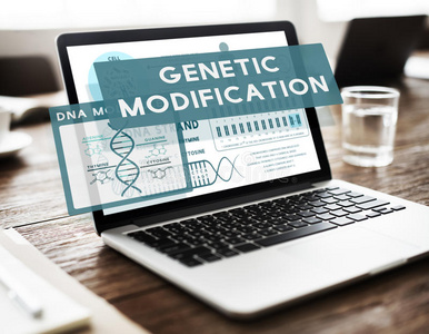 基因突变修饰生物学化学概念