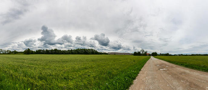 绿色田野全景。 夏季景观有大量的云。