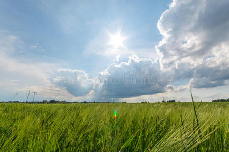 绿色田野全景。 夏季景观有大量的云。