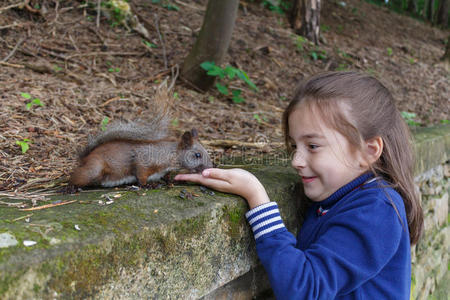 秋天公园里喂松鼠的女孩。