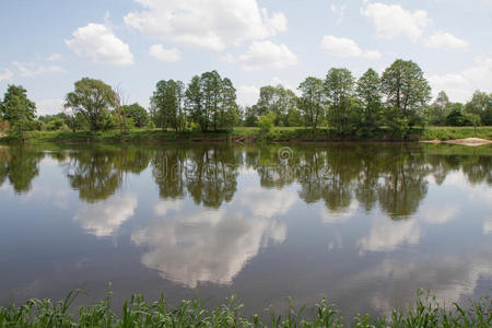 边境 夏天 边界 自然 缺陷 风景 磨光 河岸 动物群 芦苇