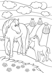 农场动物. 马妈妈带着马驹.照片