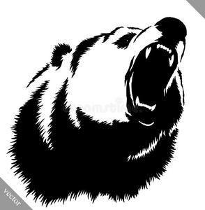 黑白墨水绘制熊矢量插图照片