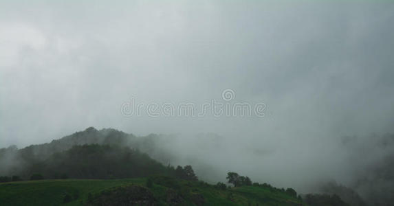 地标 公园 黎明 环境 范围 风景 日出 森林 夏天 旅行