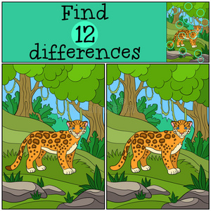 教育游戏发现差异。 森林里可爱的美洲虎。