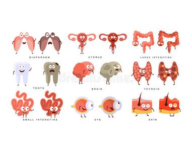 收集 可爱的 医生 信息图表 解剖 身体 膈膜 插图 生物学