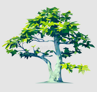 要素 生长 组织 马赛克 插图 橡树 生态学 自然 树叶