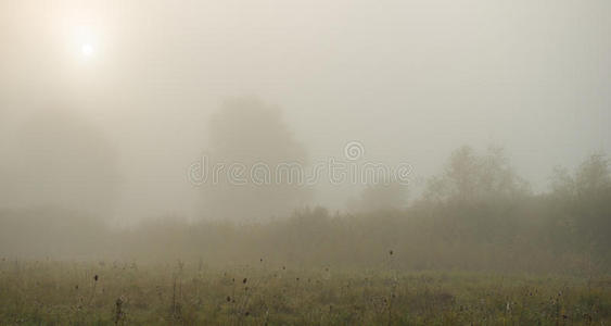 美女 农场 太阳 天空 全景图 土地 国家 薄雾 旅行 草地
