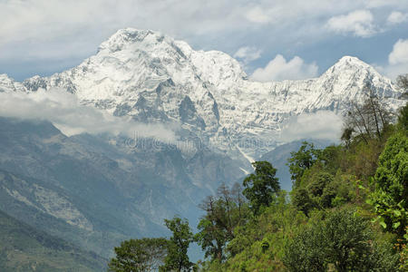 尼泊尔 旅行 旅游业 熔化 自然 远足 托尔卡 森林 公司