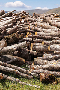 木柴，堆叠的原木