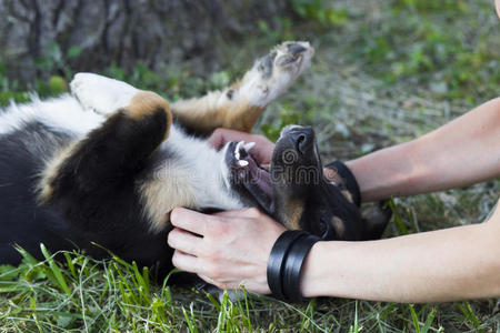 挠痒痒图片-挠痒痒素材-挠痒痒插画-摄图新视界