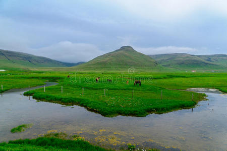 西峡湾地区的农村