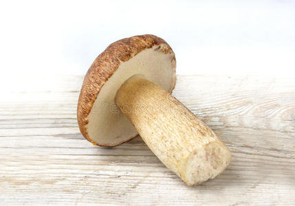 牛肝菌 蘑菇 公司 集中 波西尼 森林 食物 美食家 真菌