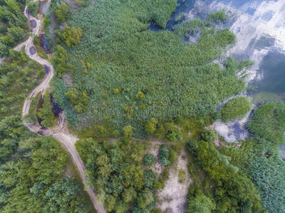 无人机 全景图 神秘的 森林 和谐 假日 传奇 美丽的 波兰