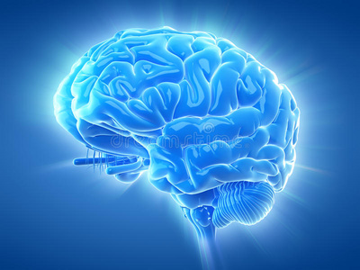 发光的大脑照片