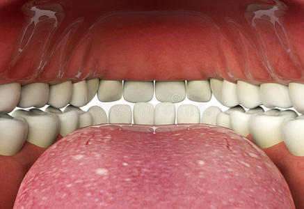 口腔内部密切人类口腔内部,口腔健康的概念照片