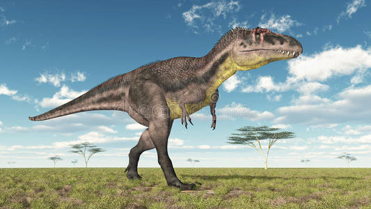 恐龙霸王龙图片