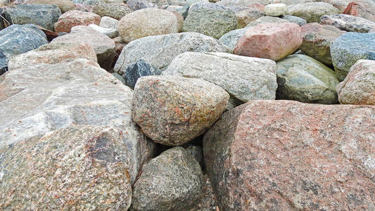 海滩 花园 特写镜头 自然 爱沙尼亚 纹理 材料 岩石 健康