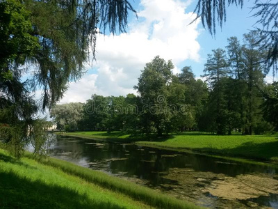 日落 漫滩 天空 水库 自然 牧场 风景 花园 夏天 运河