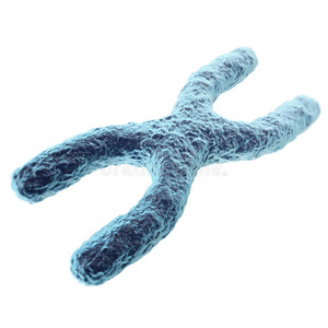 在白色背景上分离的染色体。 具有景深效应科学概念。 三维插图