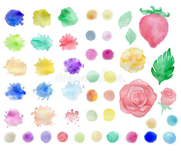 圆圈 花的 咕哝 浆果 水果 自然 玫瑰 草莓 绘画 紫罗兰