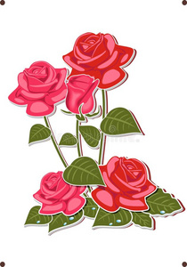 一束红色和粉红色的玫瑰