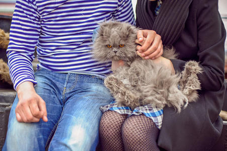 猫在男人和女人手里