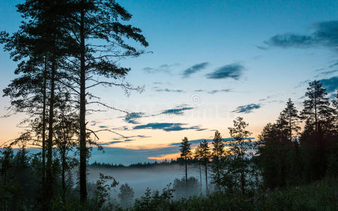 乡村 森林 傍晚 暮光 国家 芬兰语 黄昏 天空 太阳 日落