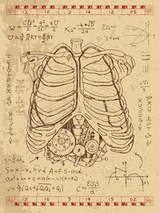 图形设置与人体解剖胸部和蒸汽朋克机构在肋骨