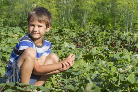 花园 男孩 自然 生长 食物 营养 帮助 农民 纠察 童年