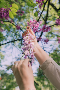 女性的手从树上撕花